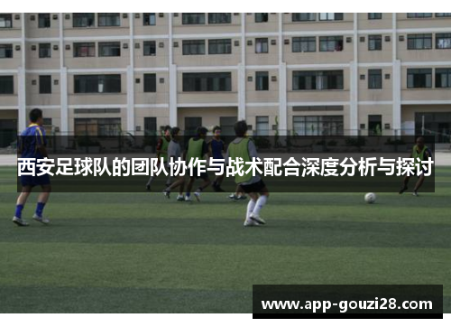 西安足球队的团队协作与战术配合深度分析与探讨